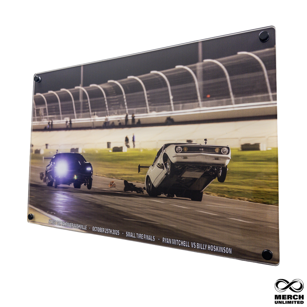 Taking Flight Acrylic Wall Art