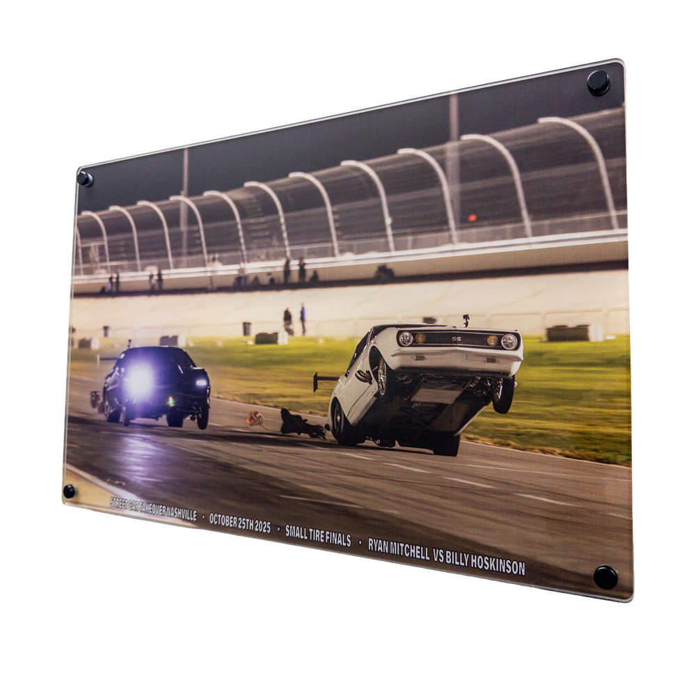 Taking Flight Acrylic Wall Art Main image